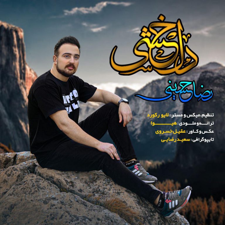 رضا حسینی دلخشی